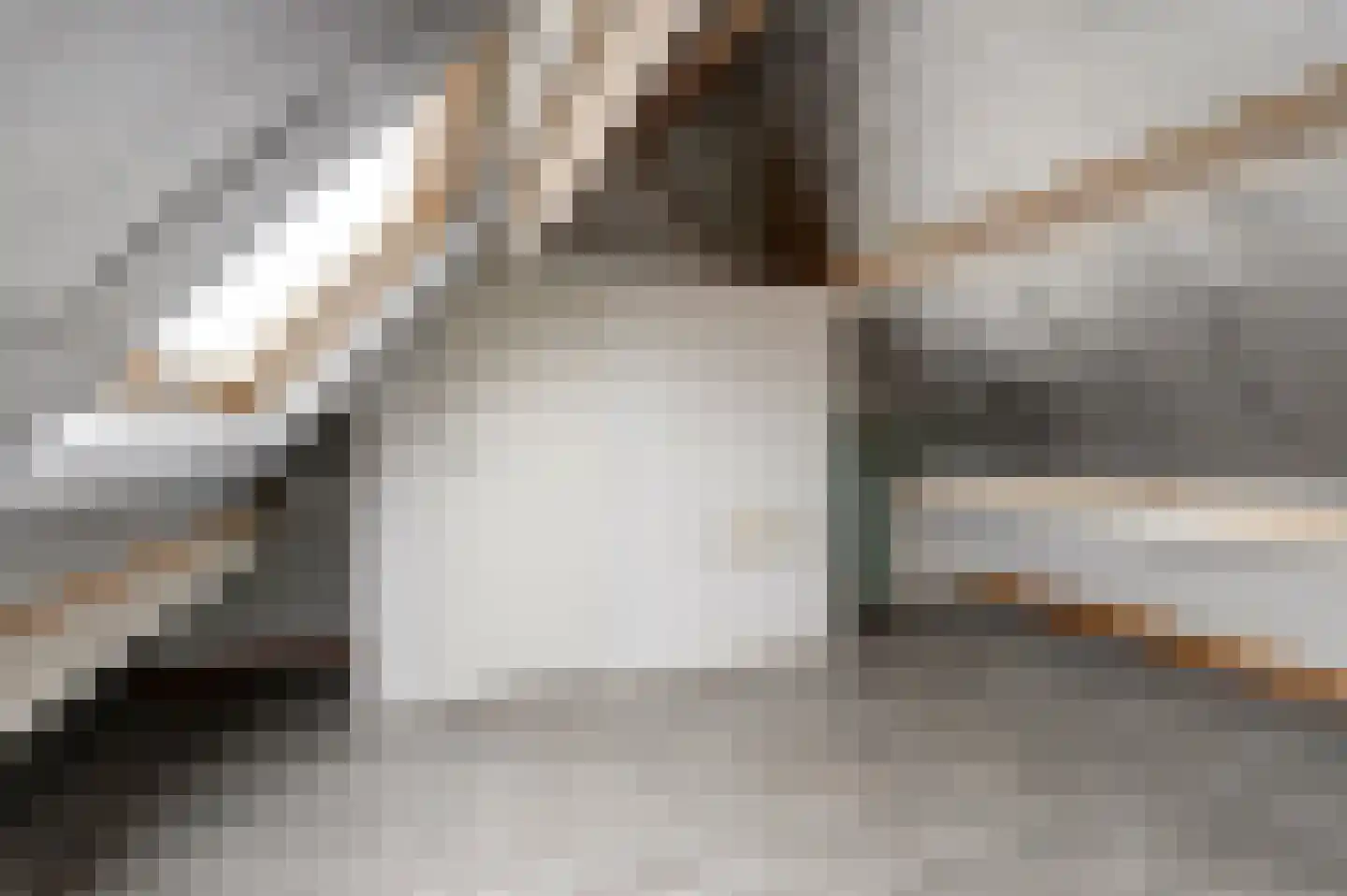 Azaleastraat 15 A Rotterdam thumbnail 23