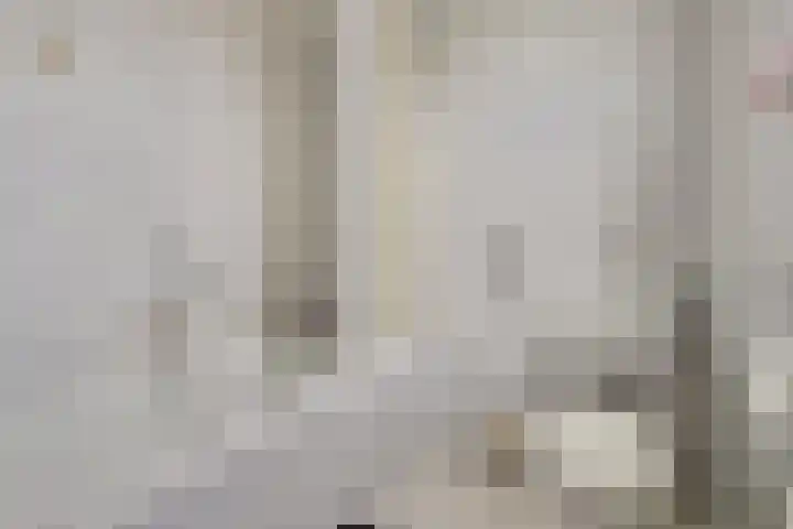 Azaleastraat 16 Oosterhout thumbnail 19