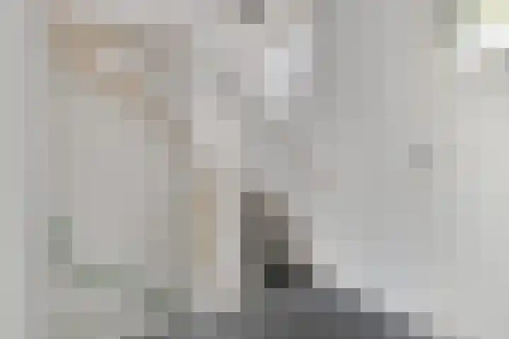 Azaleastraat 16 Oosterhout thumbnail 21