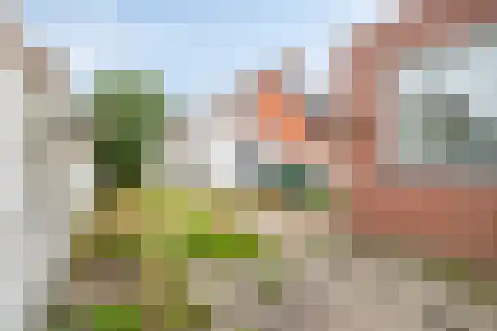 Azaleastraat 16 Oosterhout thumbnail 27