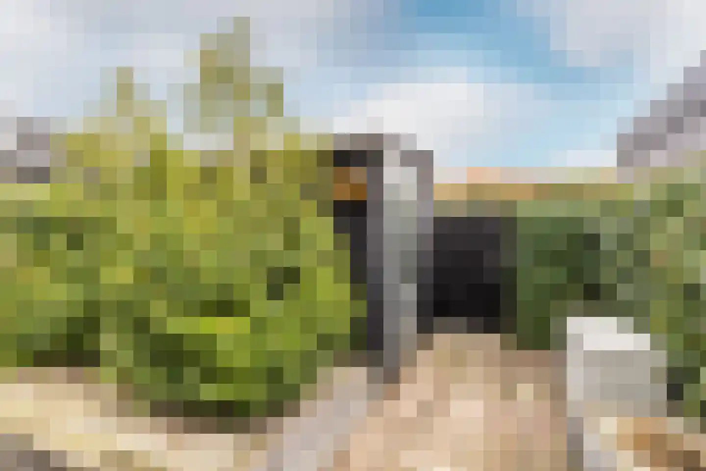 Azaleastraat 16 's-Gravendeel thumbnail 12