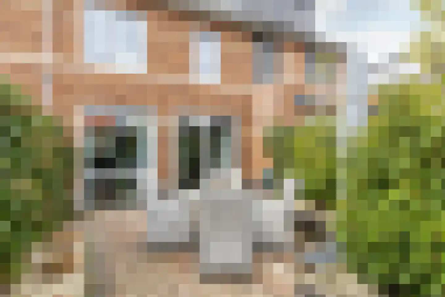 Azaleastraat 16 's-Gravendeel thumbnail 9