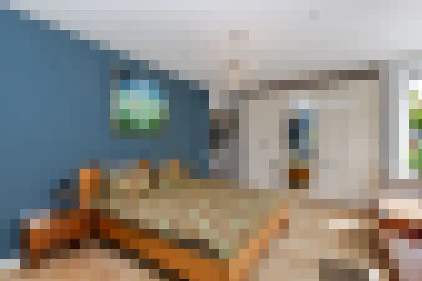 Azaleastraat 17 Rotterdam thumbnail 24