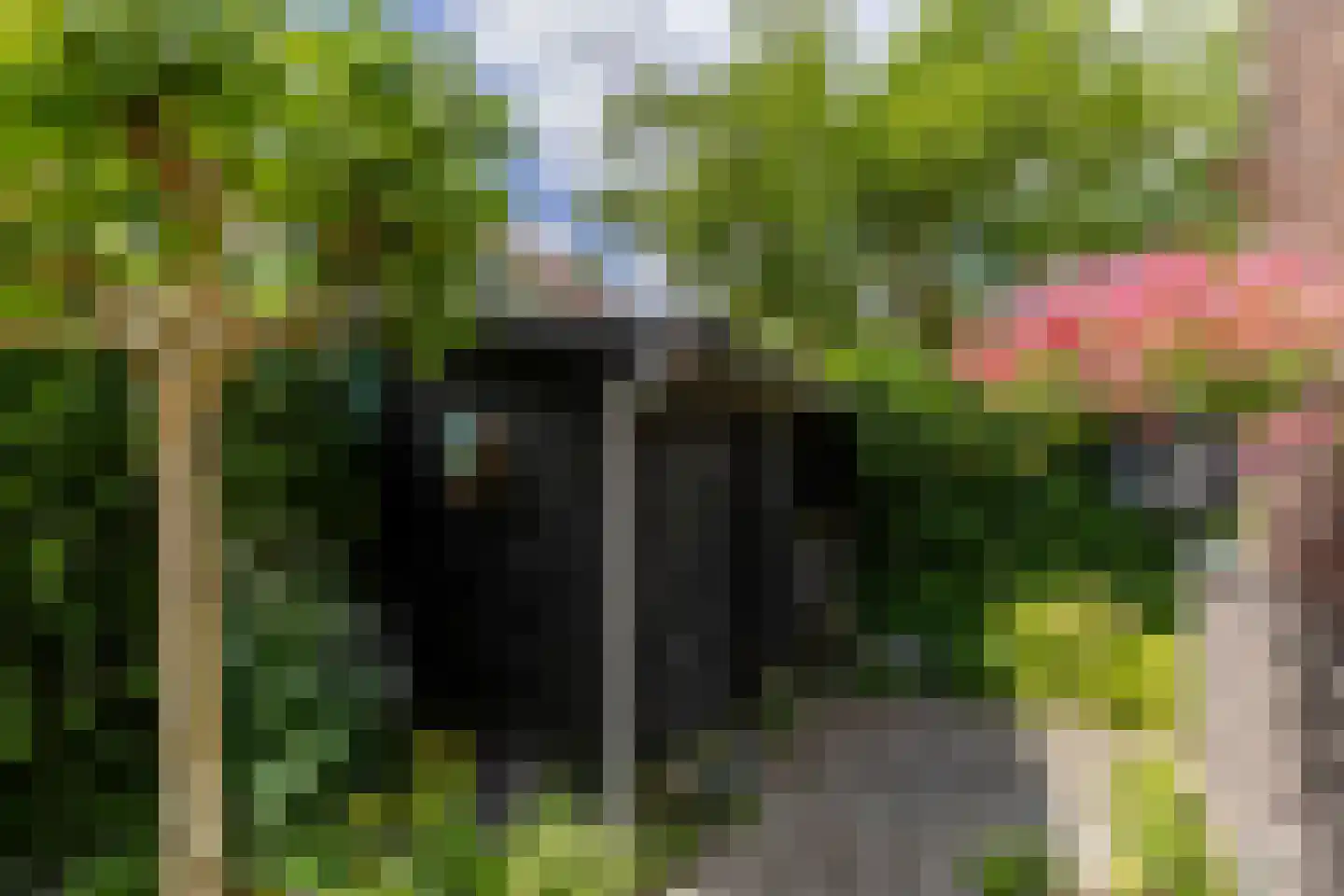 Azaleastraat 17 Rotterdam thumbnail 36