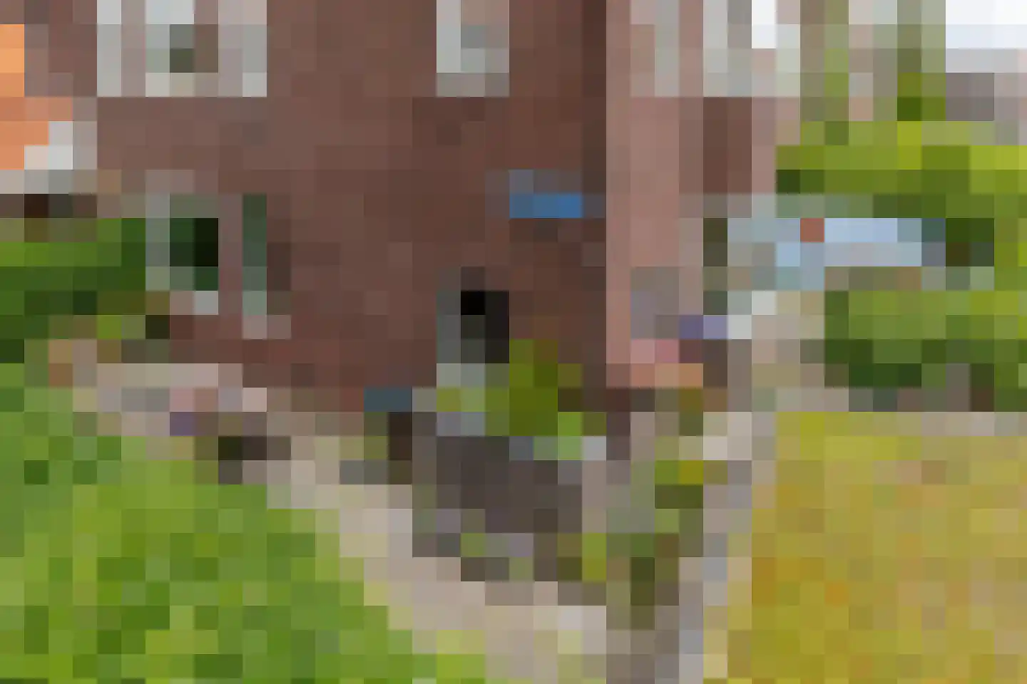 Azaleastraat 17 Rotterdam thumbnail 37