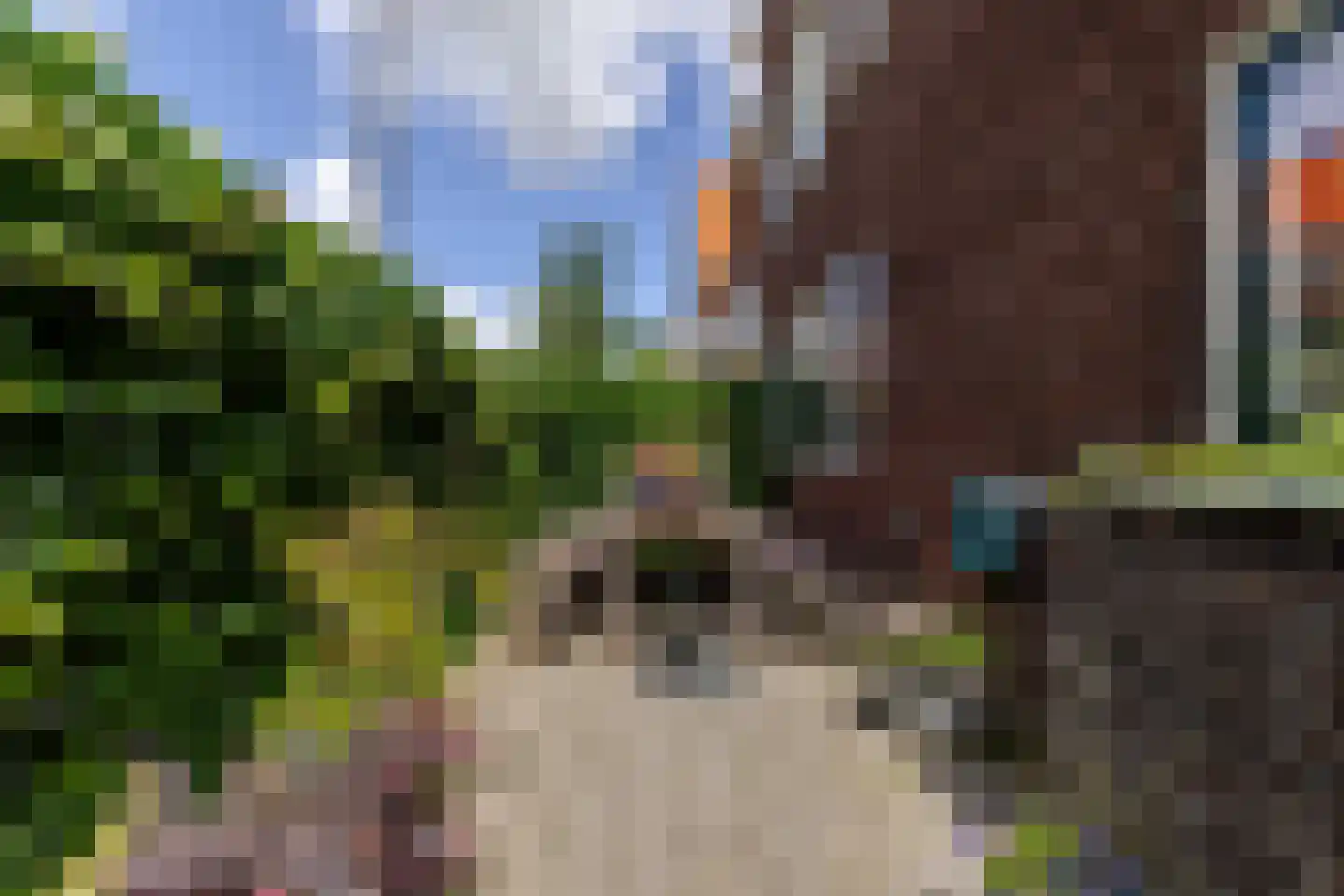 Azaleastraat 17 Rotterdam thumbnail 39