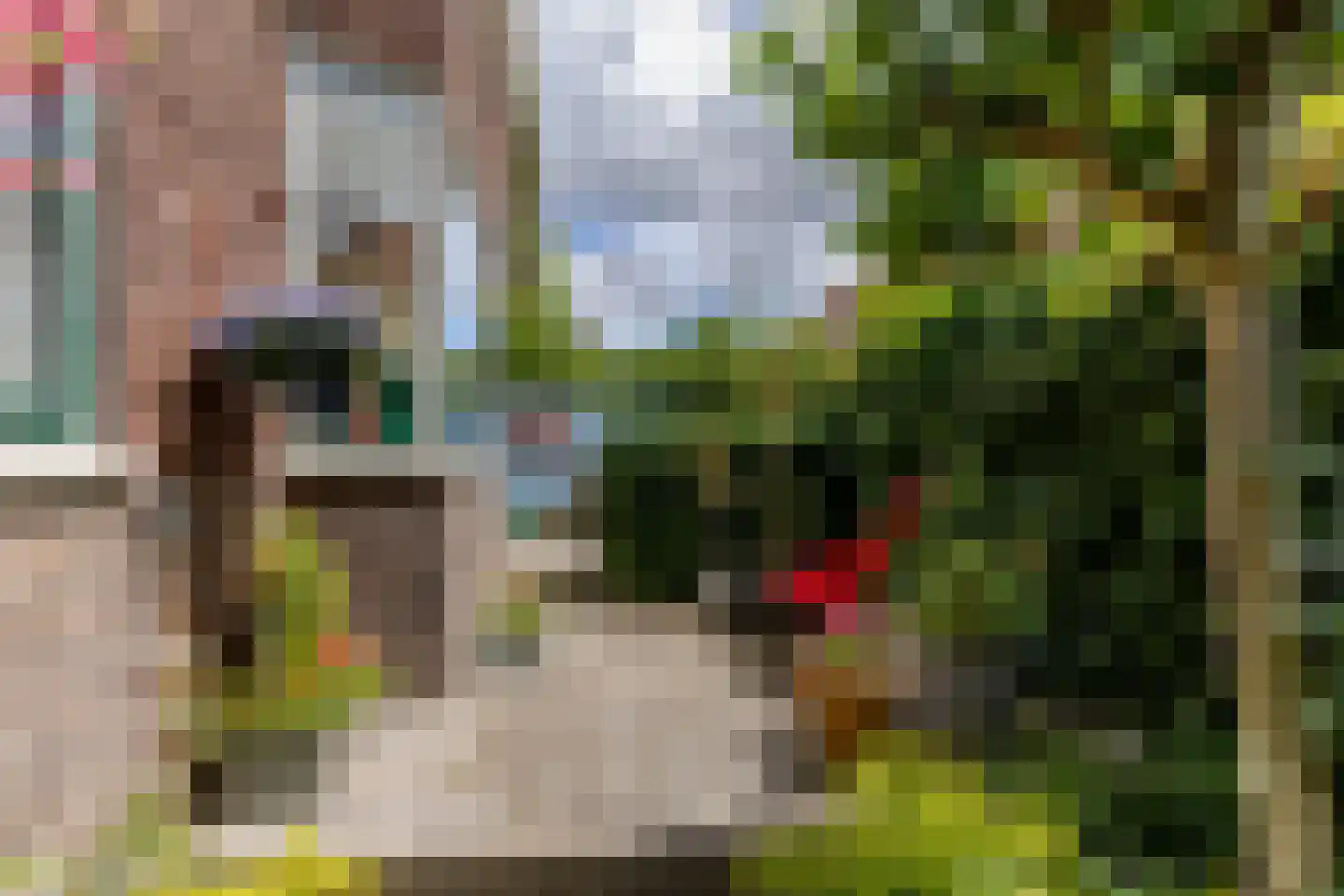 Azaleastraat 17 Rotterdam thumbnail 44