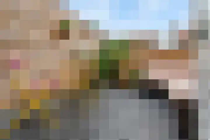 Azaleastraat 18 BS Utrecht thumbnail 18
