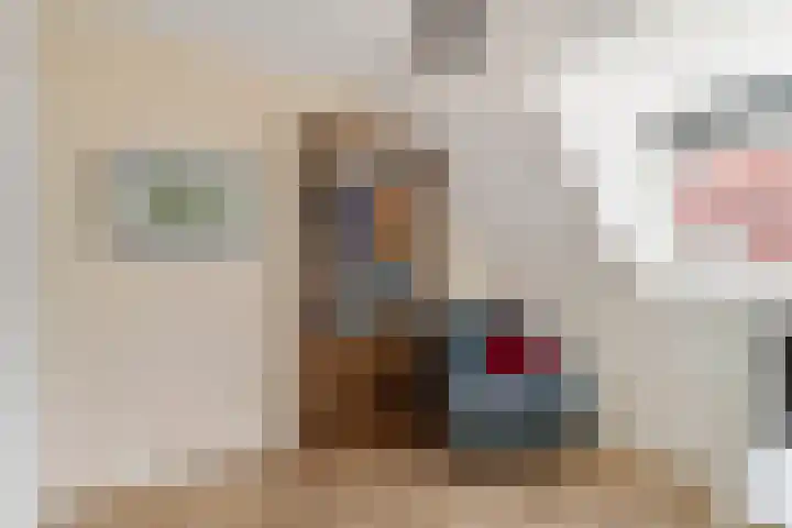 Azaleastraat 18 BS Utrecht thumbnail 30