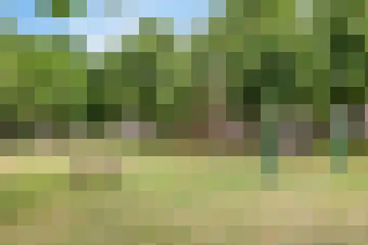 Azaleastraat 18 BS Utrecht thumbnail 34