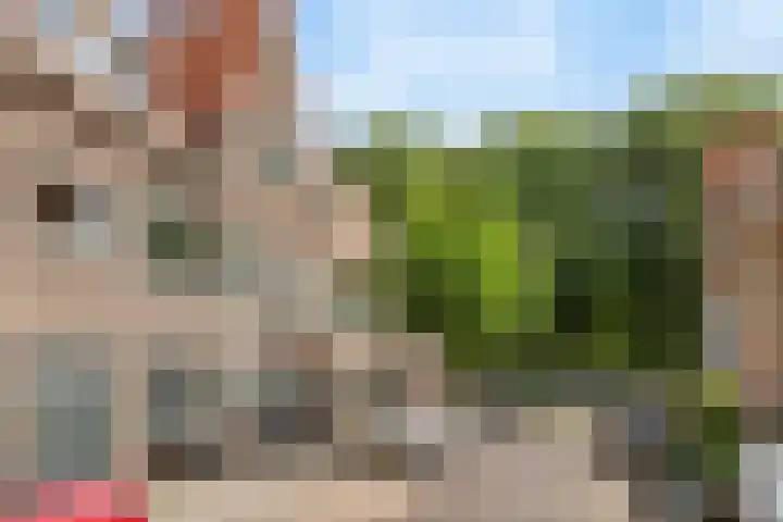 Azaleastraat 18 BS Utrecht thumbnail 4