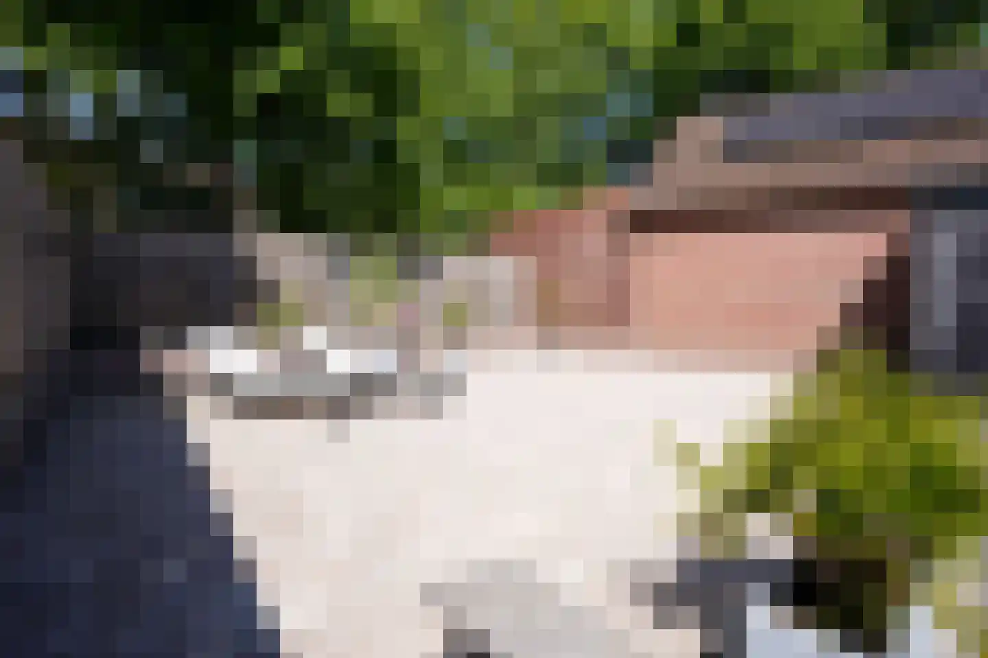 Azaleastraat 18 Geleen thumbnail 32