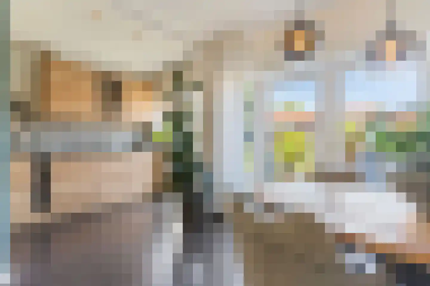 Azaleastraat 2 Alblasserdam thumbnail 12