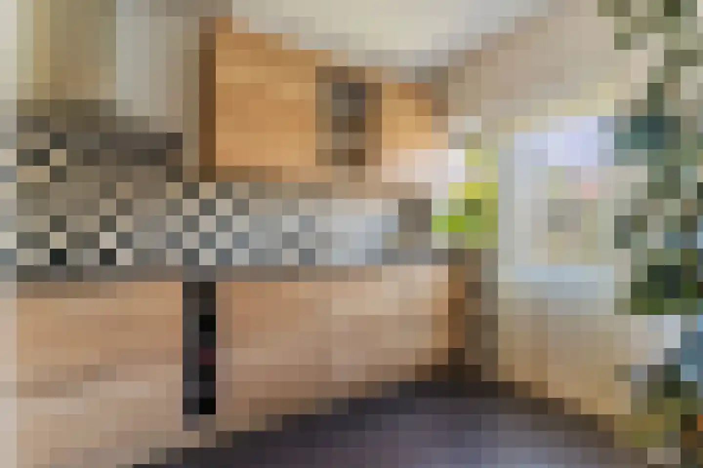 Azaleastraat 2 Alblasserdam thumbnail 13