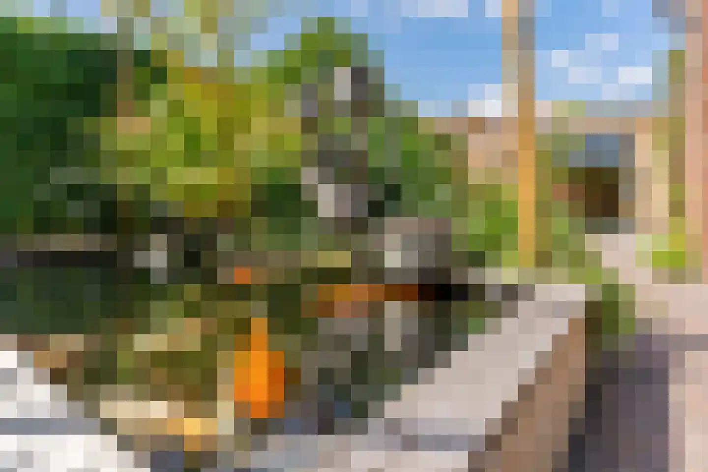 Azaleastraat 2 Alblasserdam thumbnail 22