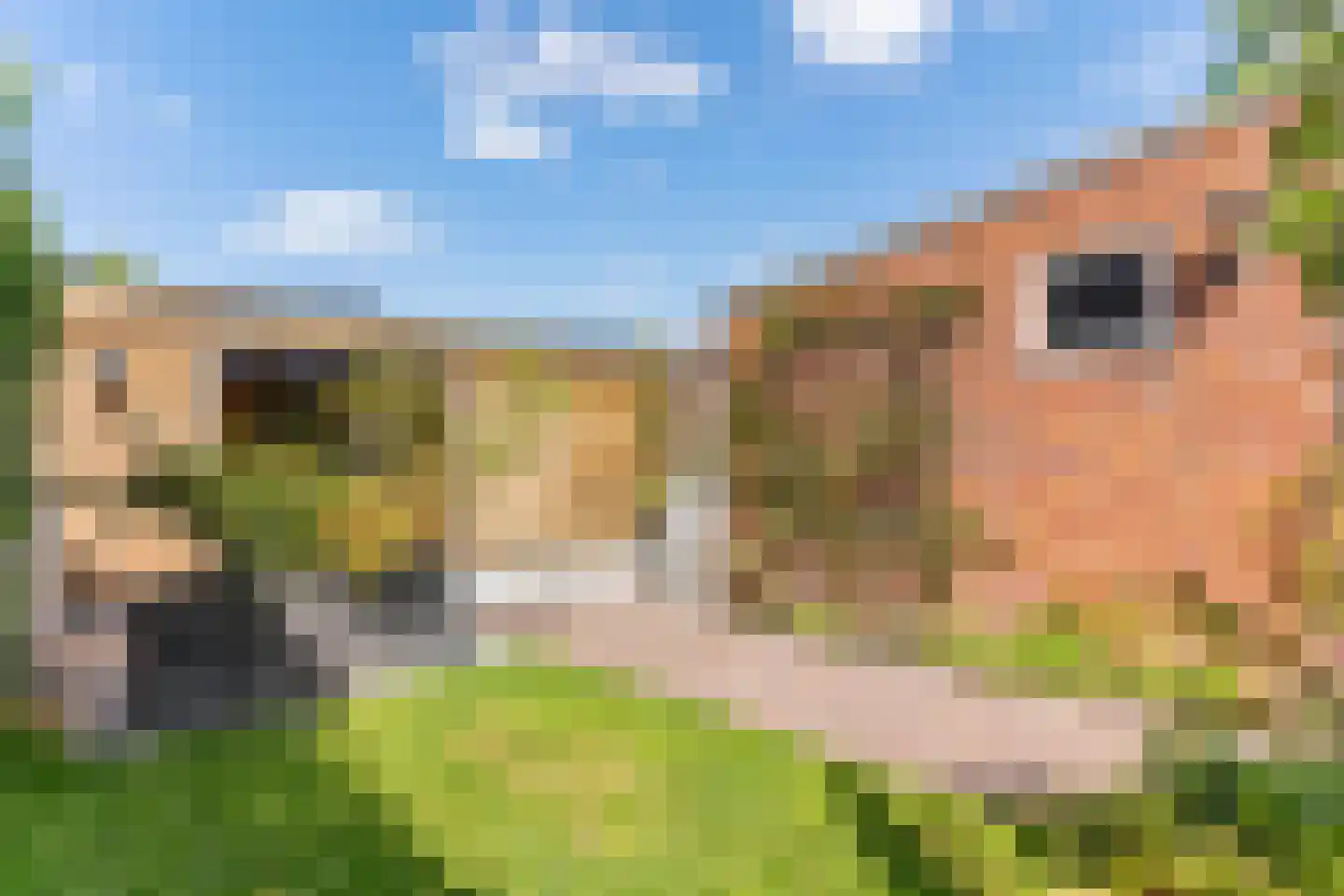 Azaleastraat 2 Alblasserdam thumbnail 24