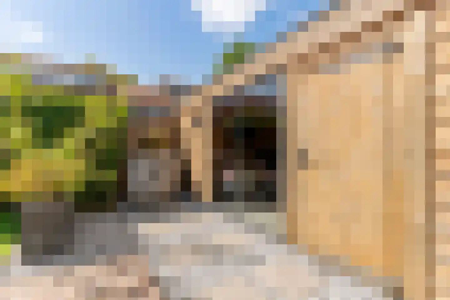 Azaleastraat 2 Alblasserdam thumbnail 25