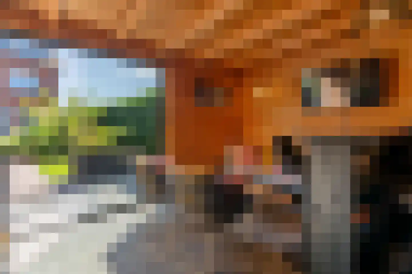 Azaleastraat 2 Alblasserdam thumbnail 26