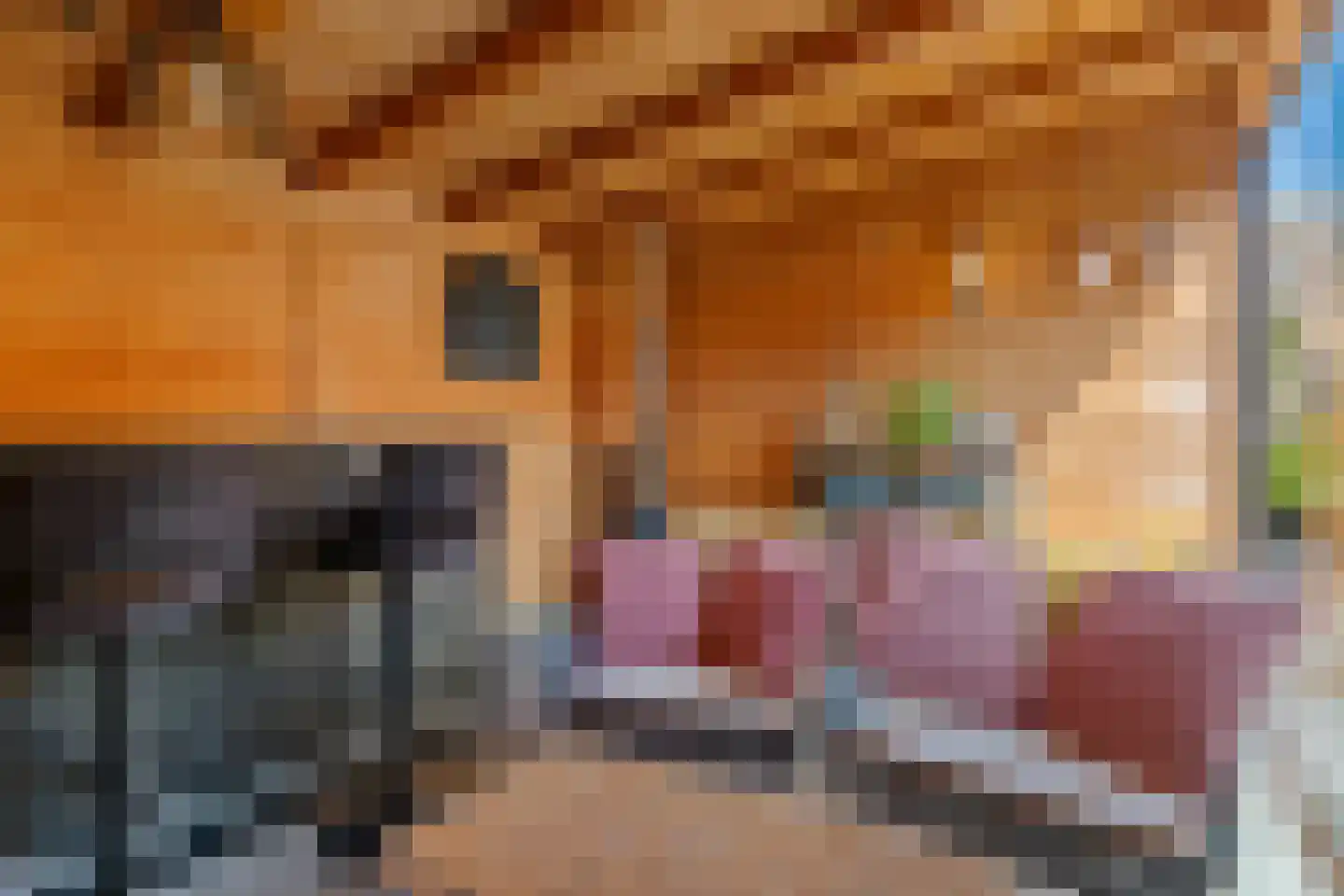 Azaleastraat 2 Alblasserdam thumbnail 27