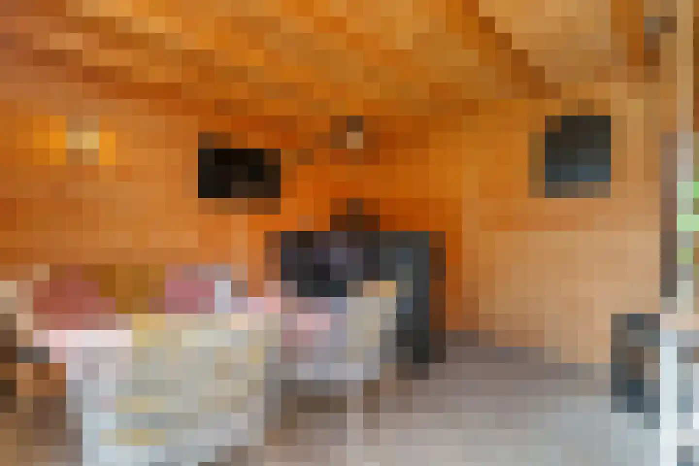Azaleastraat 2 Alblasserdam thumbnail 28