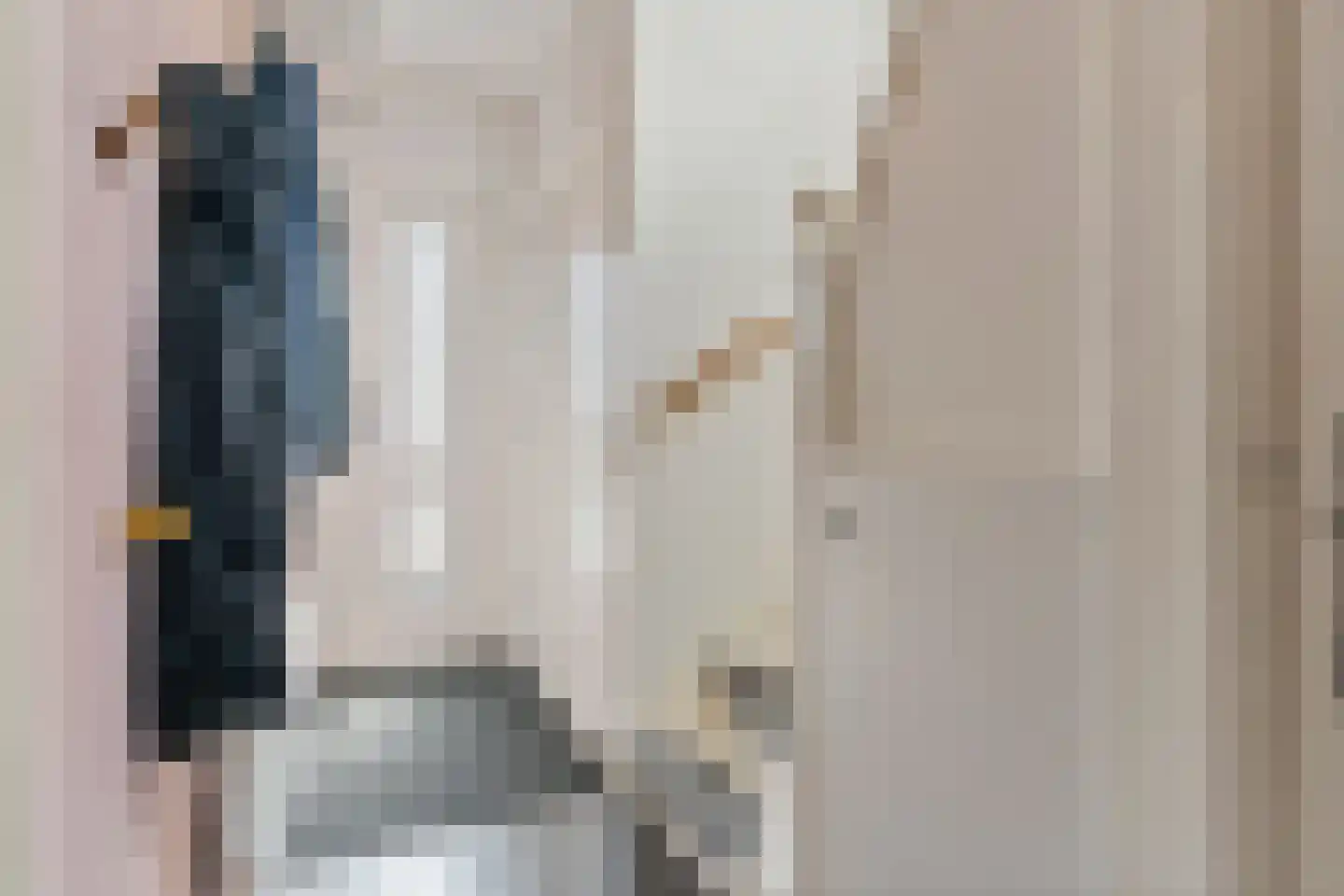 Azaleastraat 2 Alblasserdam thumbnail 30