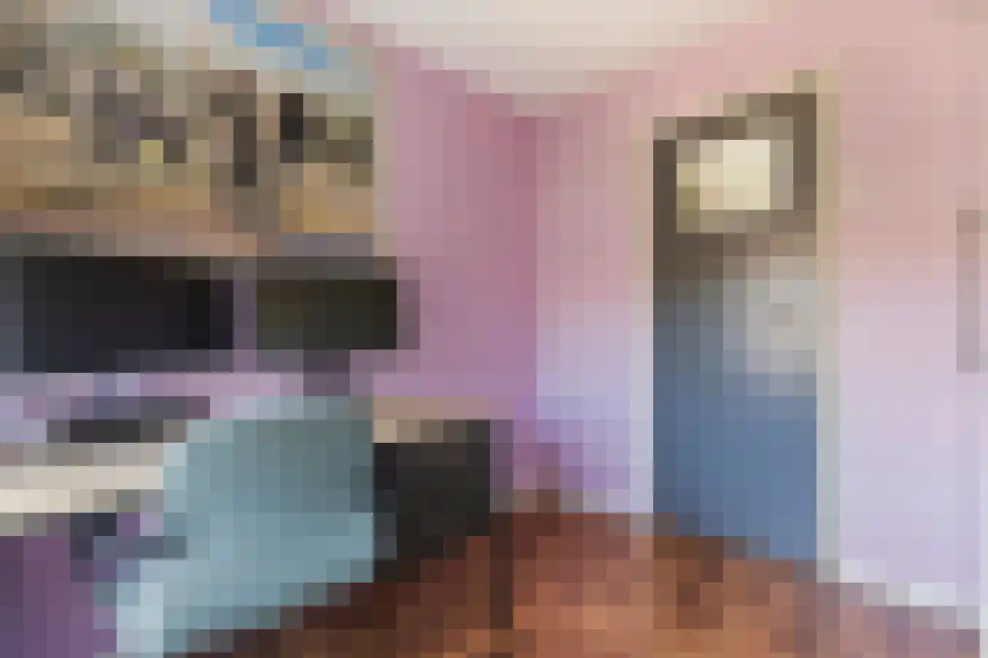 Azaleastraat 2 Alblasserdam thumbnail 42