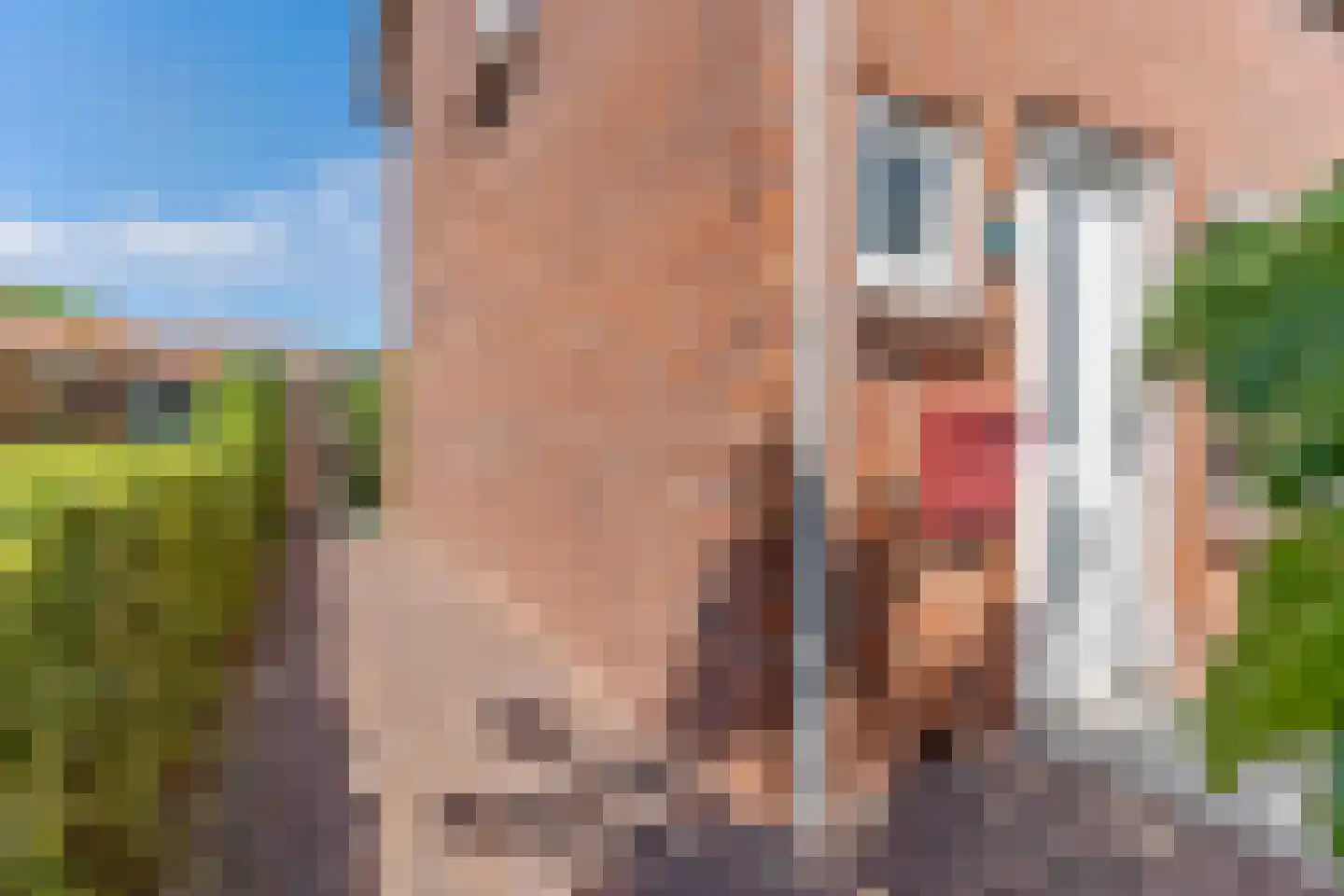 Azaleastraat 2 Alblasserdam thumbnail 48