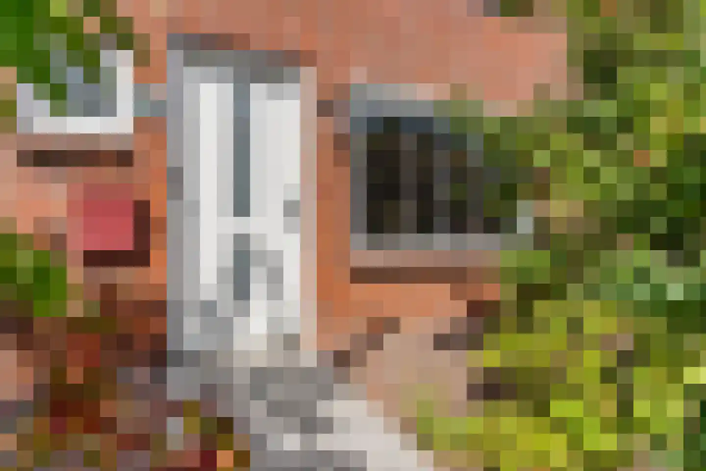 Azaleastraat 2 Alblasserdam thumbnail 5