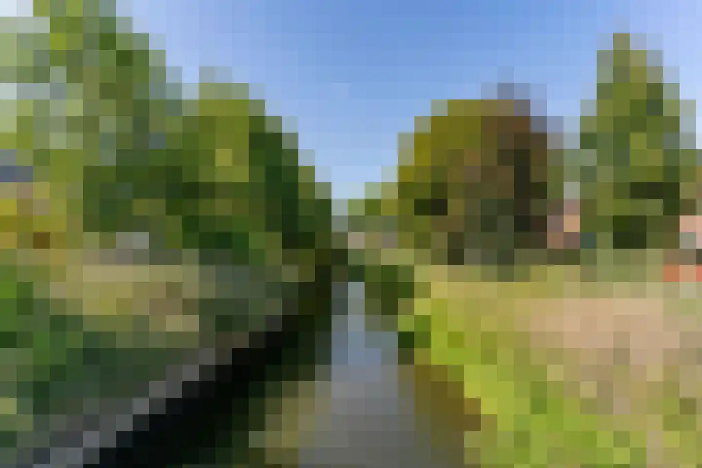 Azaleastraat 2 Alblasserdam thumbnail 51
