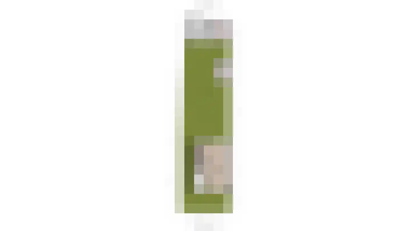 Azaleastraat 2 Alblasserdam thumbnail 52