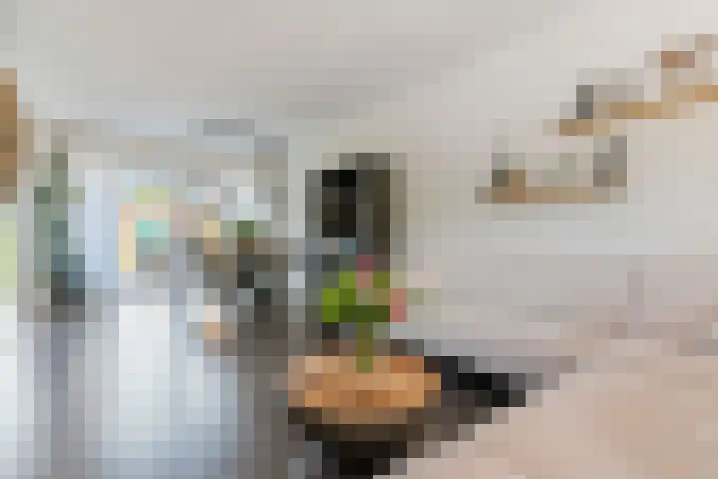 Azaleastraat 2 Alblasserdam thumbnail 9