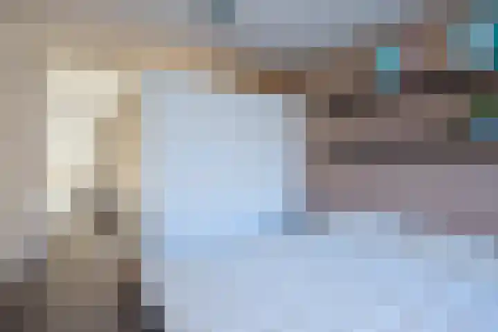 Azaleastraat 2 Amsterdam thumbnail 11