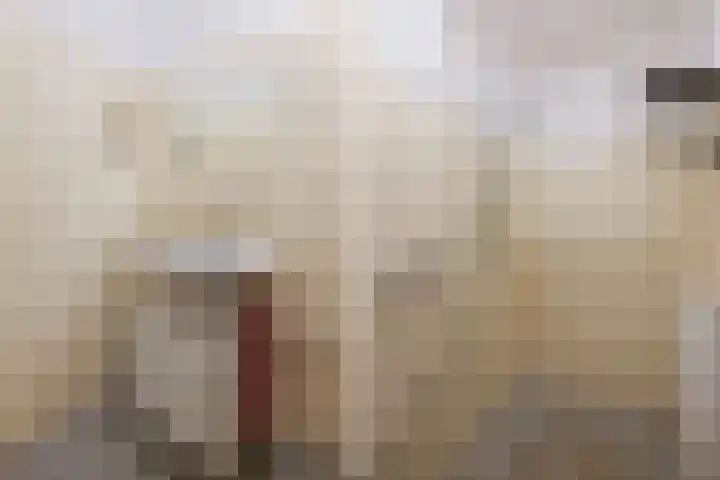 Azaleastraat 2 Amsterdam thumbnail 14