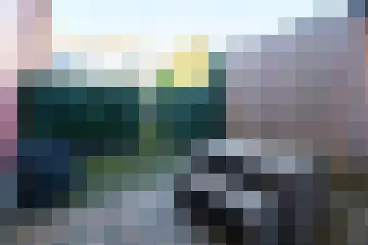 Azaleastraat 2 Amsterdam thumbnail 16