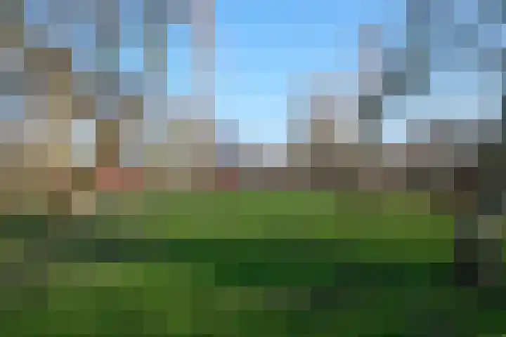 Azaleastraat 2 Amsterdam thumbnail 20