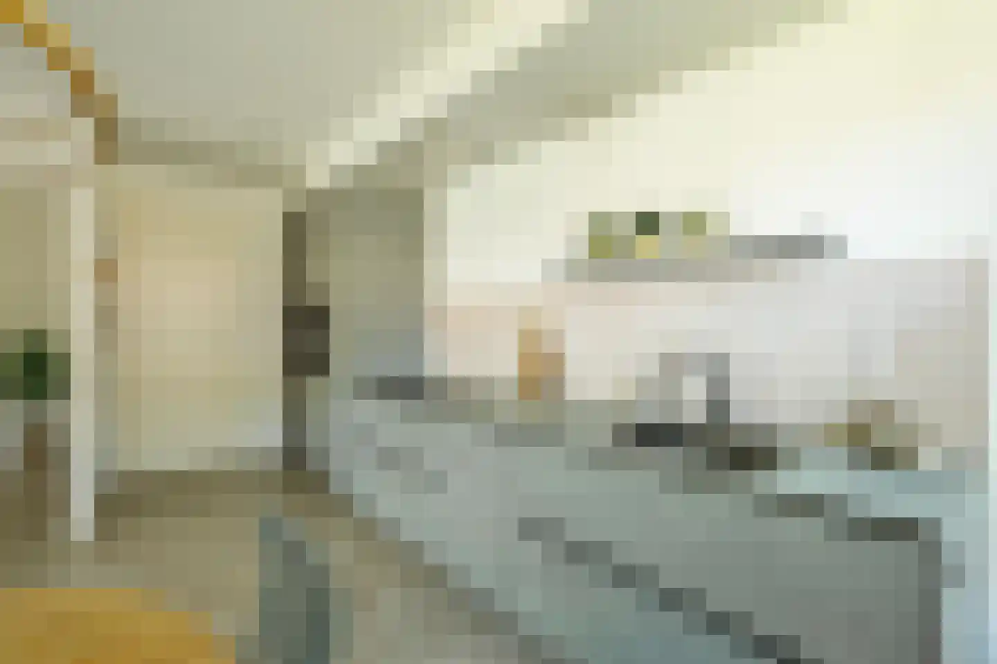Azaleastraat 20 Terneuzen thumbnail 11