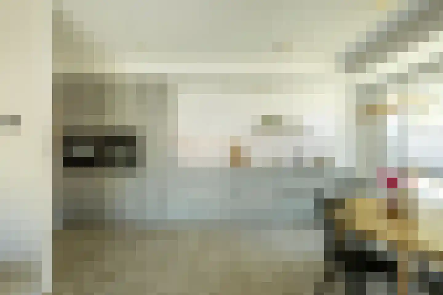 Azaleastraat 20 Terneuzen thumbnail 12