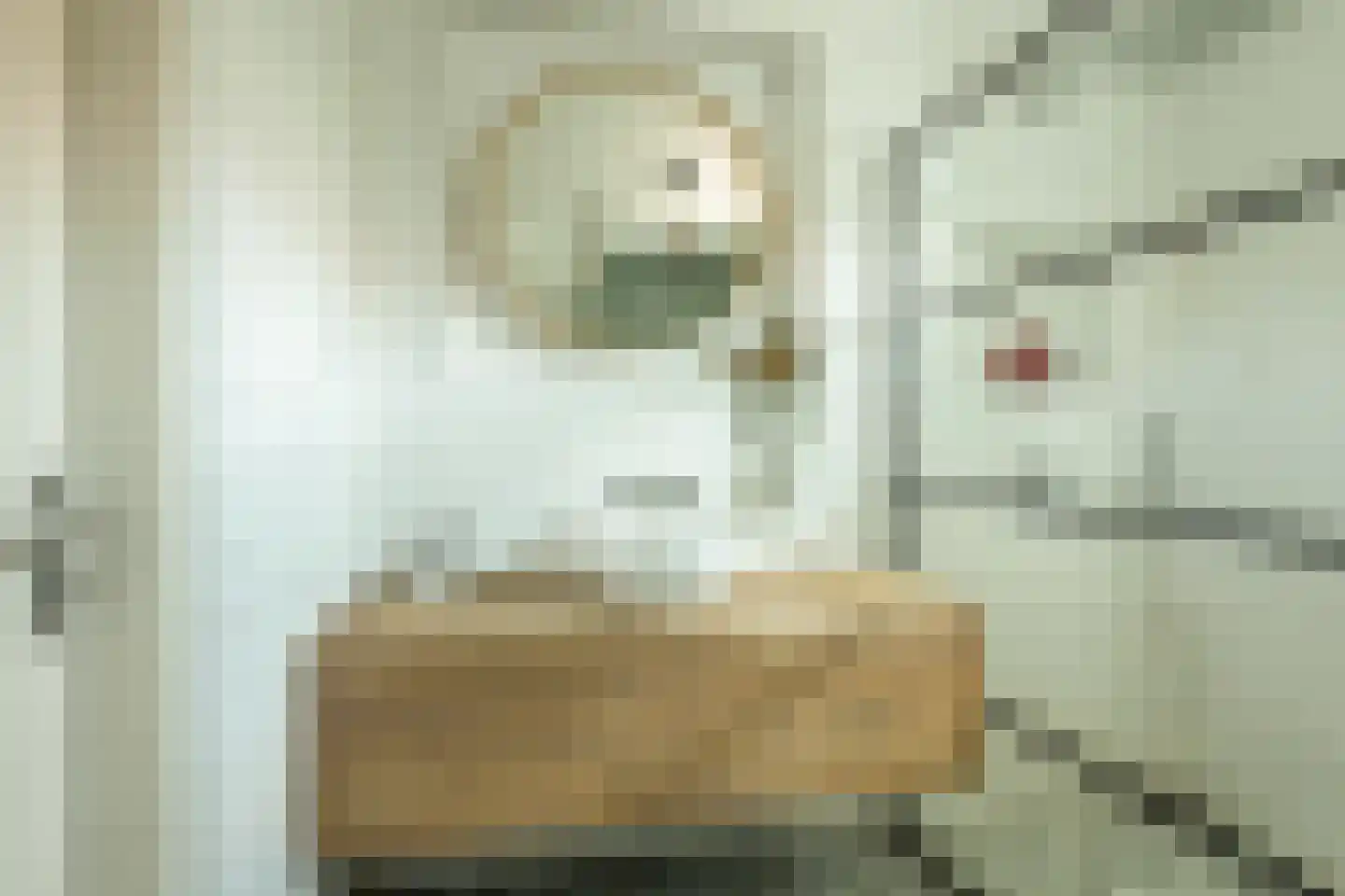Azaleastraat 20 Terneuzen thumbnail 20