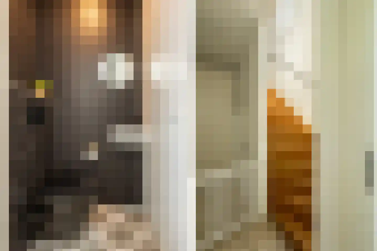 Azaleastraat 20 Terneuzen thumbnail 22