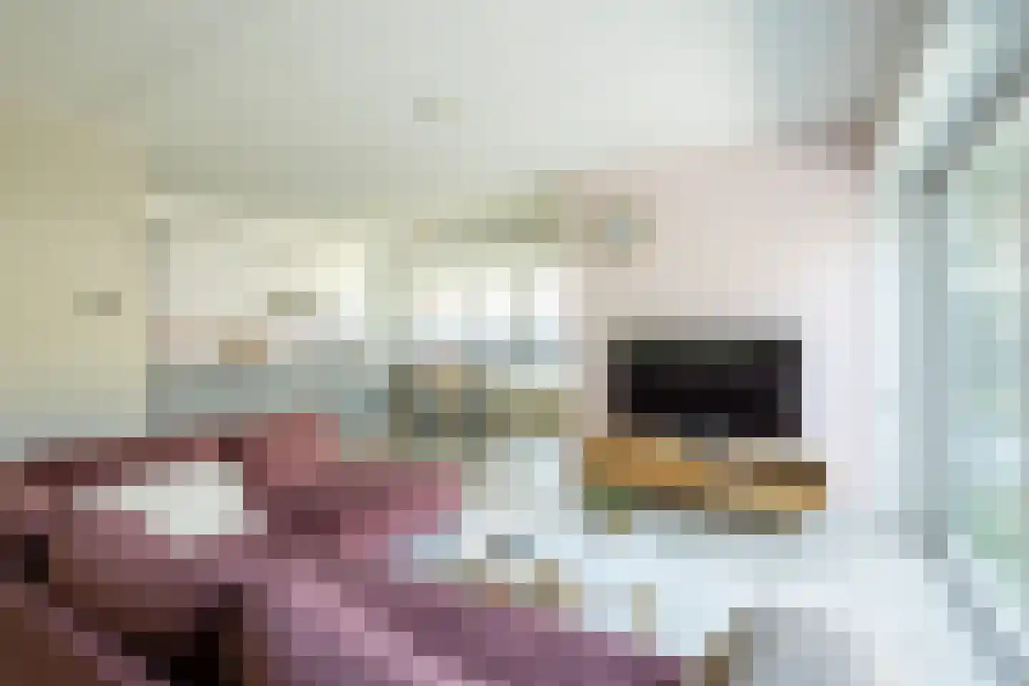 Azaleastraat 20 Terneuzen thumbnail 7