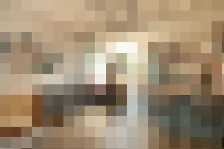 Azaleastraat 21 Hilversum thumbnail 11