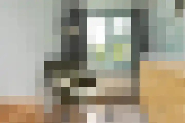 Azaleastraat 21 Hilversum thumbnail 24