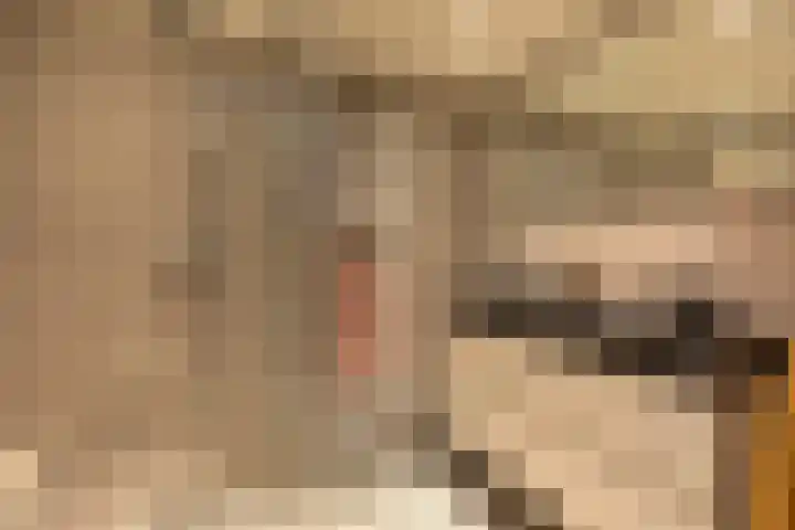 Azaleastraat 21 Hilversum thumbnail 25