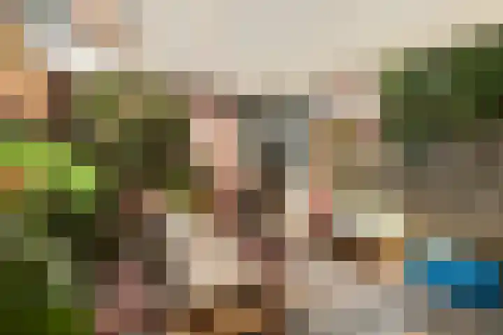 Azaleastraat 21 Hilversum thumbnail 27