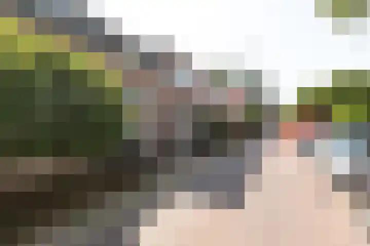 Azaleastraat 21 Hilversum thumbnail 30