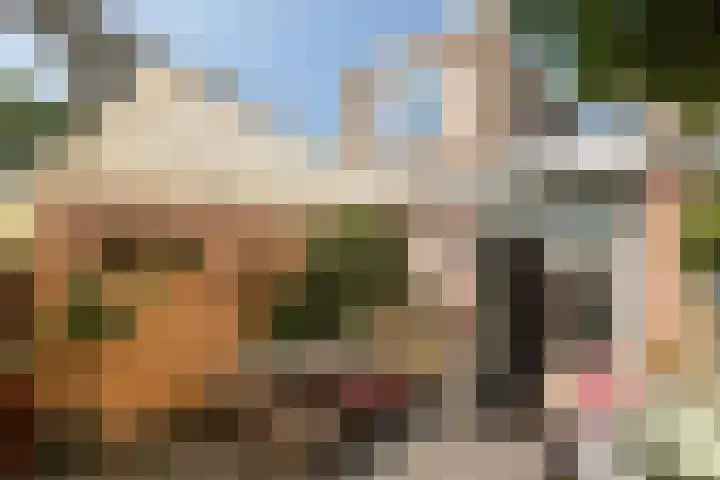 Azaleastraat 21 Hilversum thumbnail 4