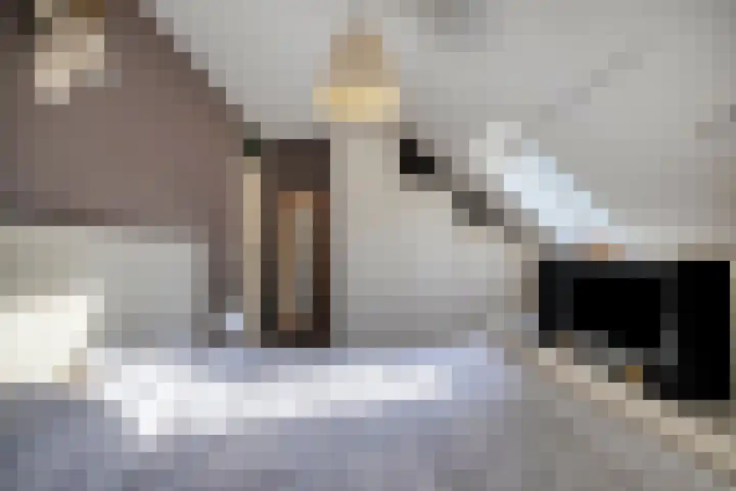 Azaleastraat 22 Almere thumbnail 26