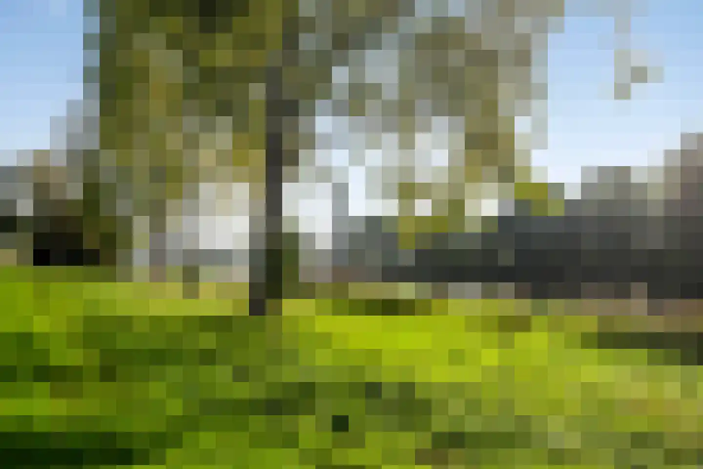 Azaleastraat 22 Almere thumbnail 36