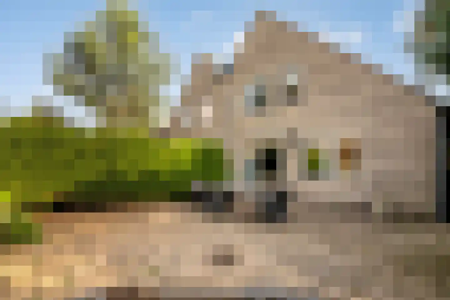 Azaleastraat 22 Almere thumbnail 5