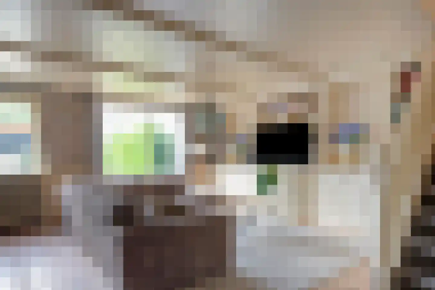 Azaleastraat 22 Almere thumbnail 8